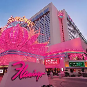 Flamingo Vegas & Casino Resort